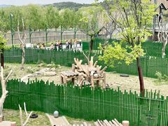 -沈阳森林动物园