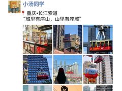 -杨记隆府(重庆总店)
