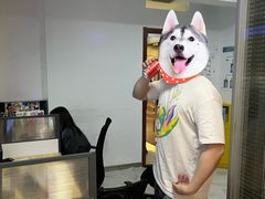 -脑洞先生非恐剧情密室(五一店)