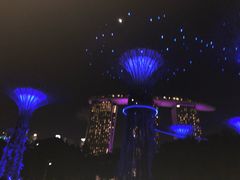 -纽顿熟食中心