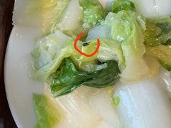 -花园咖啡厅(厦门美丽华大酒店)