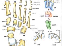 -广州中医药大学第一附属医院(总院)