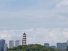 -江心屿景区