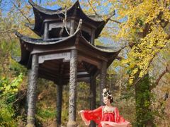 -千年银杏谷文化旅游区