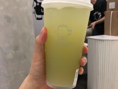 山泉油柑（绿屁屁）-茶力的小怪兽(梅林卓悦汇店)