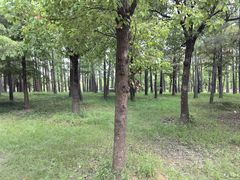 -狼山风景名胜区