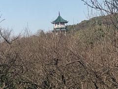 -无锡梅园公园