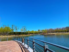 -大兴滨河森林公园