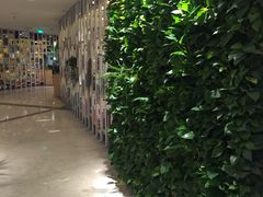 -三亚湾红树林度假世界(木棉酒店)