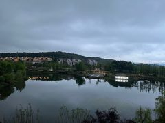 -铁山坪森林公园