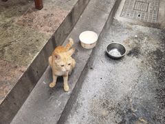 -袁森泰鲜汤(江汉区三民靓汤店)