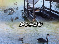 -长鹿旅游休博园