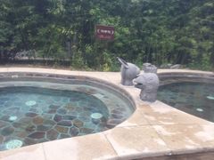 -中家鑫园温泉酒店鑫悦汤泉