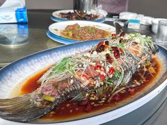 -崂山水果园农家宴(泉水鸡店)