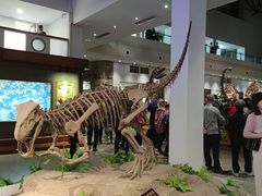 -自贡恐龙博物馆