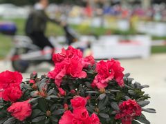 -奥特莱斯停车场