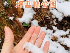-山王坪喀斯特国家生态公园