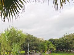 -四海公园(南山区)