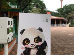 -广州长隆欢乐世界