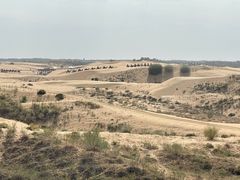 -银肯塔拉沙漠生态旅游景区