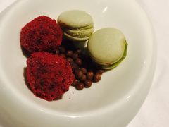 -蝶舍·MAISON PAPILLON