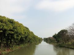 -大湾区中央湿地公园