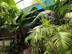 -呀路古热带植物园
