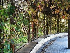 -大兴滨河森林公园