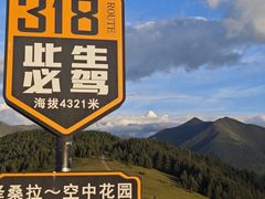 -小志家.野生菌鲜切牦牛肉牛杂火锅