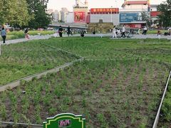 -BHG生活超市(安贞店)