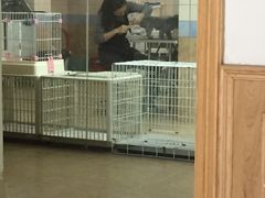 -诺比宠物医院心脏内科·泌尿肾内外科·骨科急重症