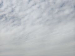 -滨州铁路桥