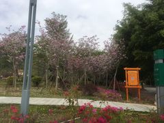 -草庵摩尼教遗址公园