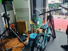 -道路口单车爱瓦士dahon大行