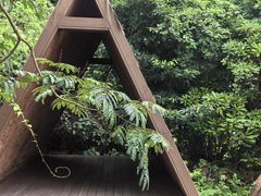 -济州森林小火车生态公园