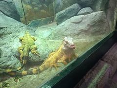 -福州罗源湾海洋世界旅游区