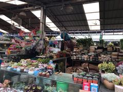 -曲阳花鸟市场(曲阳路店)