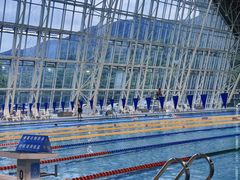 -深圳大学城（南区）体育中心-游泳馆