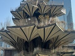 -陕西自然博物馆