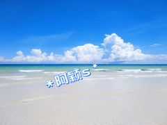 -白沙滩