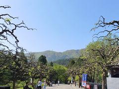 -香山公园