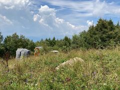 -白草畔自然风景区