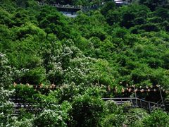 -宁波五龙潭景区