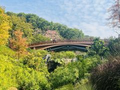 -云溪植物园