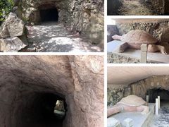 -上海佘山国家森林公园天马山园