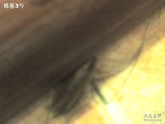 -华辉拉肠(广园店)