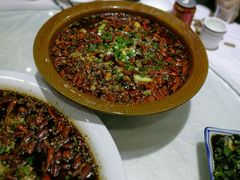 璧山兔-西木兔(大圆祥店)