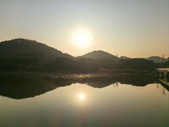 -青龙山国家森林公园
