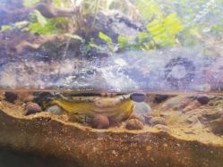 -Zoolung Zoolung动物主题公园(海信广场店)