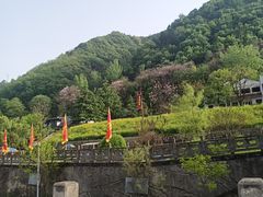 -西安祥峪森林公园